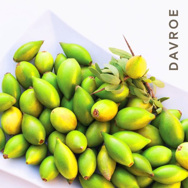 Argan Oil - Image 3